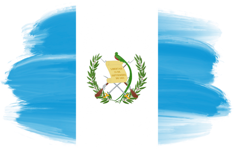 Guatemala Brush Flag