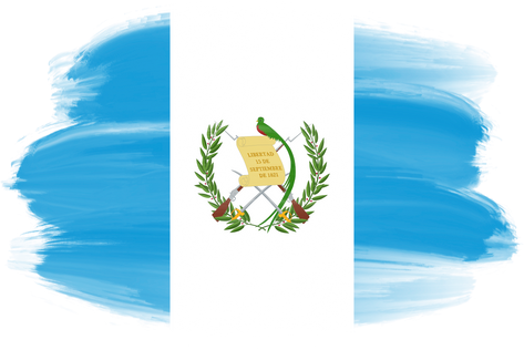 Guatemala Brush Flag